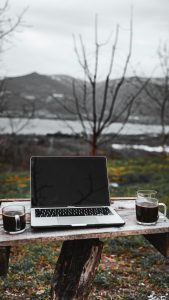 off-season travel 2026